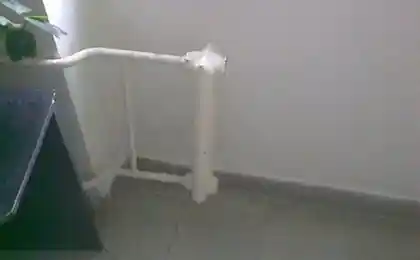 А все равно зима теплая