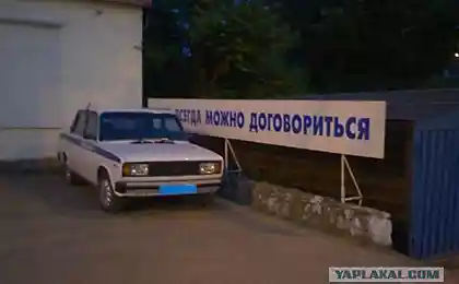 І новий про м'ята (2 фото)