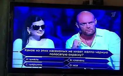 Питання для Діани Гурцка