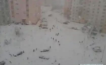 І ми всі муки.