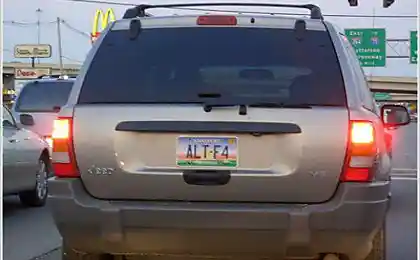 Жгут буржуи
