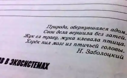 23 завдання з підручників, які візьмуть мозок не тільки дитині, але і до будь-якого дорослого. Silent жах. й