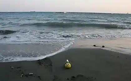Пчёл на отды.