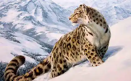Тваринний художник Danchurova Тетяна