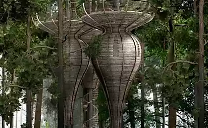 Необычный дом Treehouse