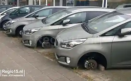 Theft на Kia Dutch Motor Show