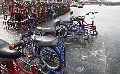 Необычный вид спорта
