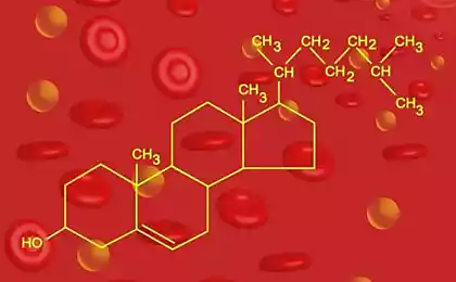 Люди с высоким содержанием холестерина в крови живут дольше!