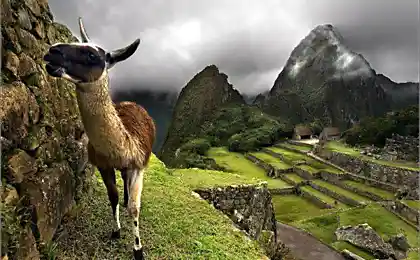 Peru: Machu Picchu Lost City