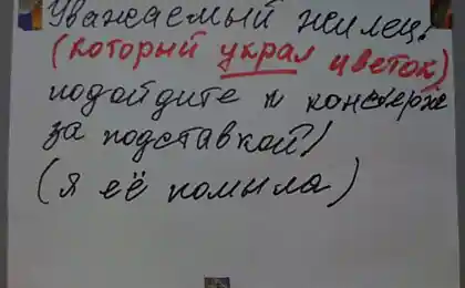 Предложение для вора