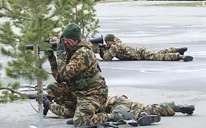 Засада в густом ельнике