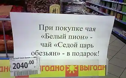 Чаек...