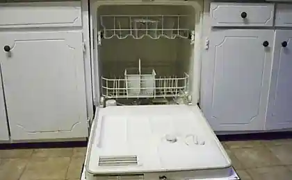 Паровая рыба из... посудомойки!