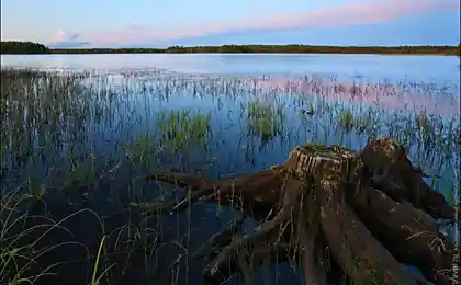Карелия — от заката до рассвета