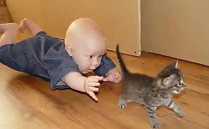 Стоять!