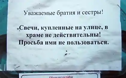 "Православие головного мозга"