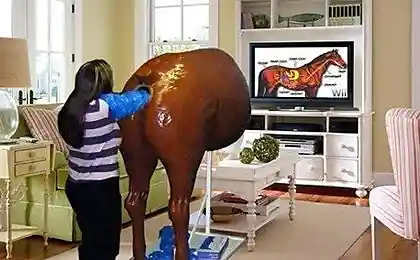 Ниндендо Wii ?