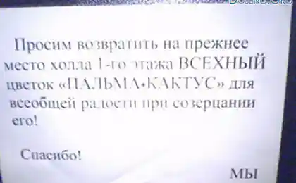 Буквы дня