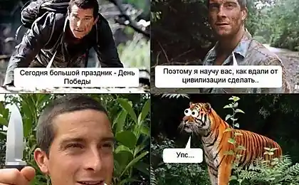 Неожиданная угроза для тигров