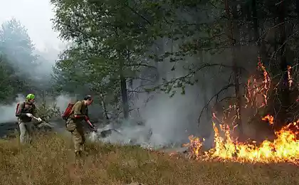 Как тушат лесные пожары