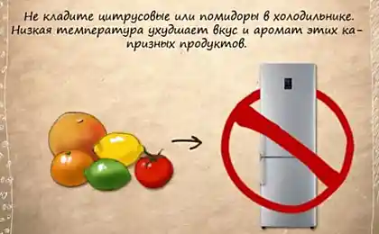 Порция полезных бытовых советов