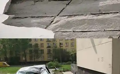 Енциклопедія Stupidity (49 фото)