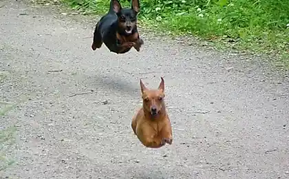 Летаем......)))))