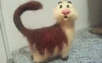 ЯП и КОТЭ