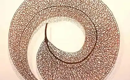 Инновационные вышитые скульптуры от Meredith Woolnough