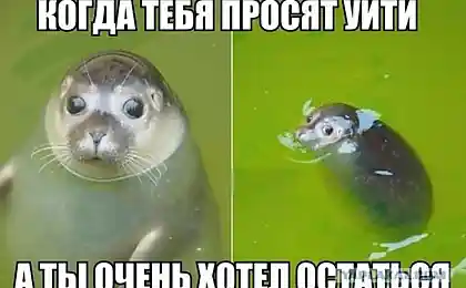Чи можна змінити твій розум?