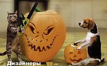 Позитив на понедельник