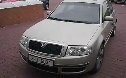 Автоматична автоматична автопси