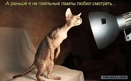 Эпиляцию сделал - теперь загар