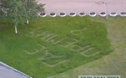 Косить нужно уметь!