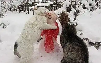 Обнимашки