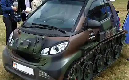 Панцирный шушпанчик