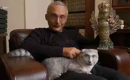 У Друзя и кот  - ученый