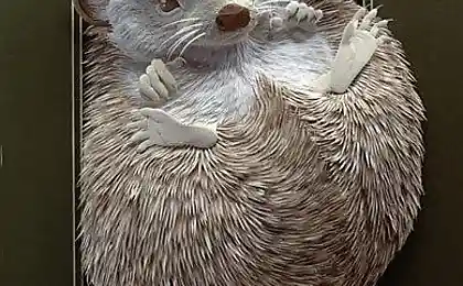 Трехмерное чудо из бумаги