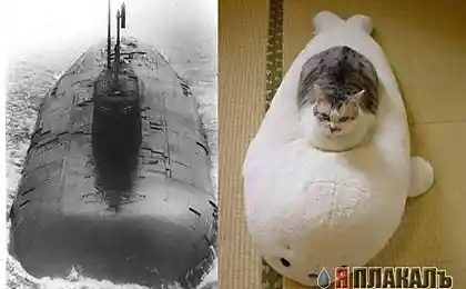 Нинашел
