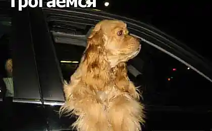 Таких берут в космонавты!