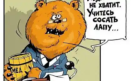 Смешные фото