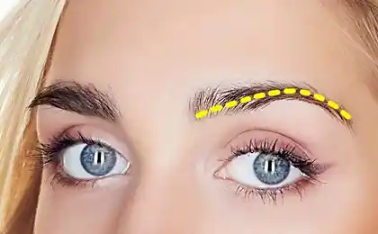Dime, ¿qué forma de tus cejas, y adivinar el estado de la naturaleza