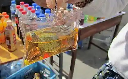 Живі китайські ключі