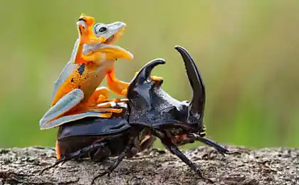 20 fotos que te hacen sonreír