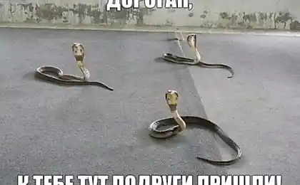 22 Вбити фотографії на 100% настрій!
