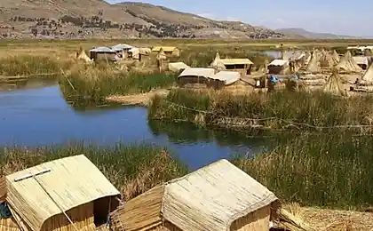 Самодельный плавающий остров (12 фотографий)