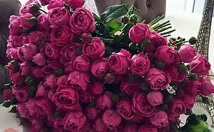 Як захистити себе від солі?