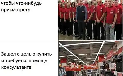 Пришёл, увидел..