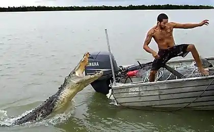 Стоп-кадр