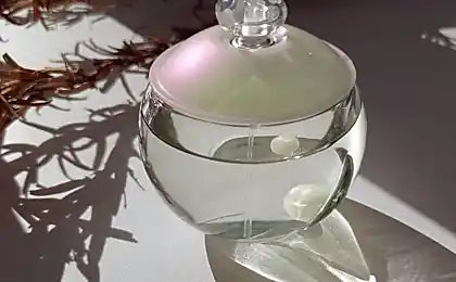 Snooped at a male blogger perfume para siempre oler bien en 2023